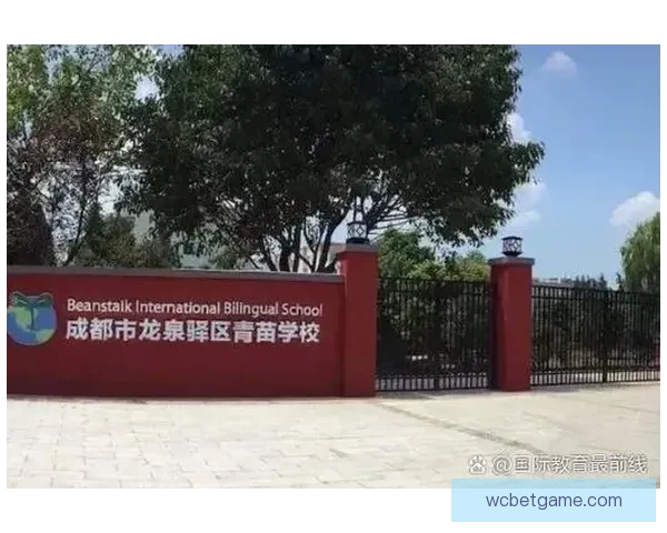 世界杯赛事胜负赔率实时查询与投注技巧全面指南