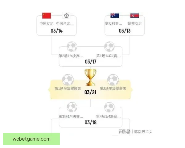 世界杯赛事预测与分析：深度剖析球队实力走势与晋级概率
